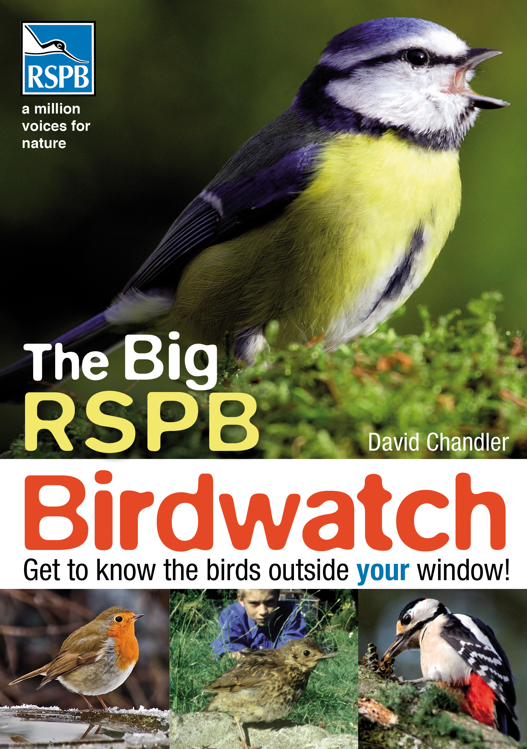 The Big Rspb Birdwatch 9781408148211 Allen Unwin Australia