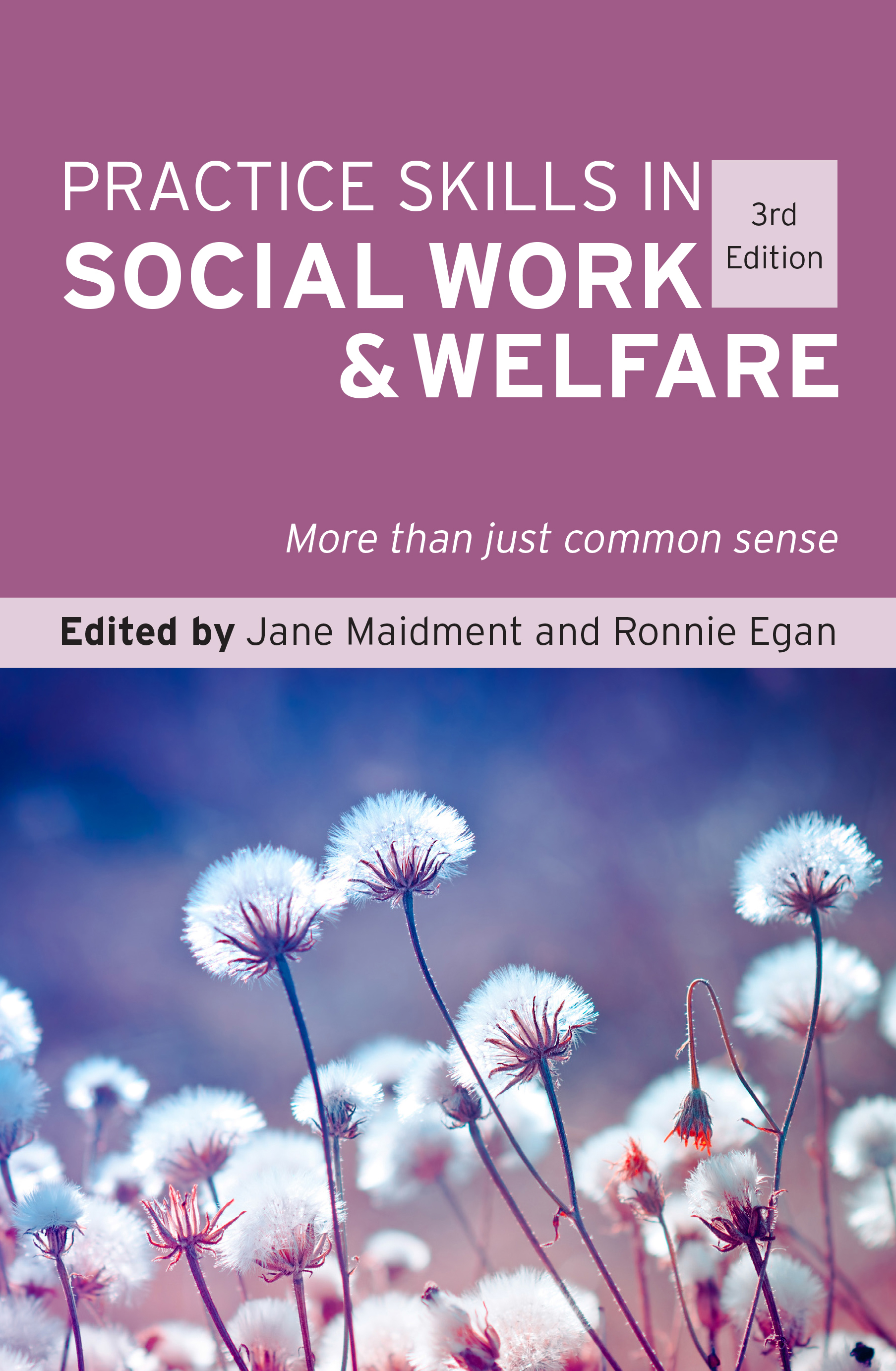 social work practice