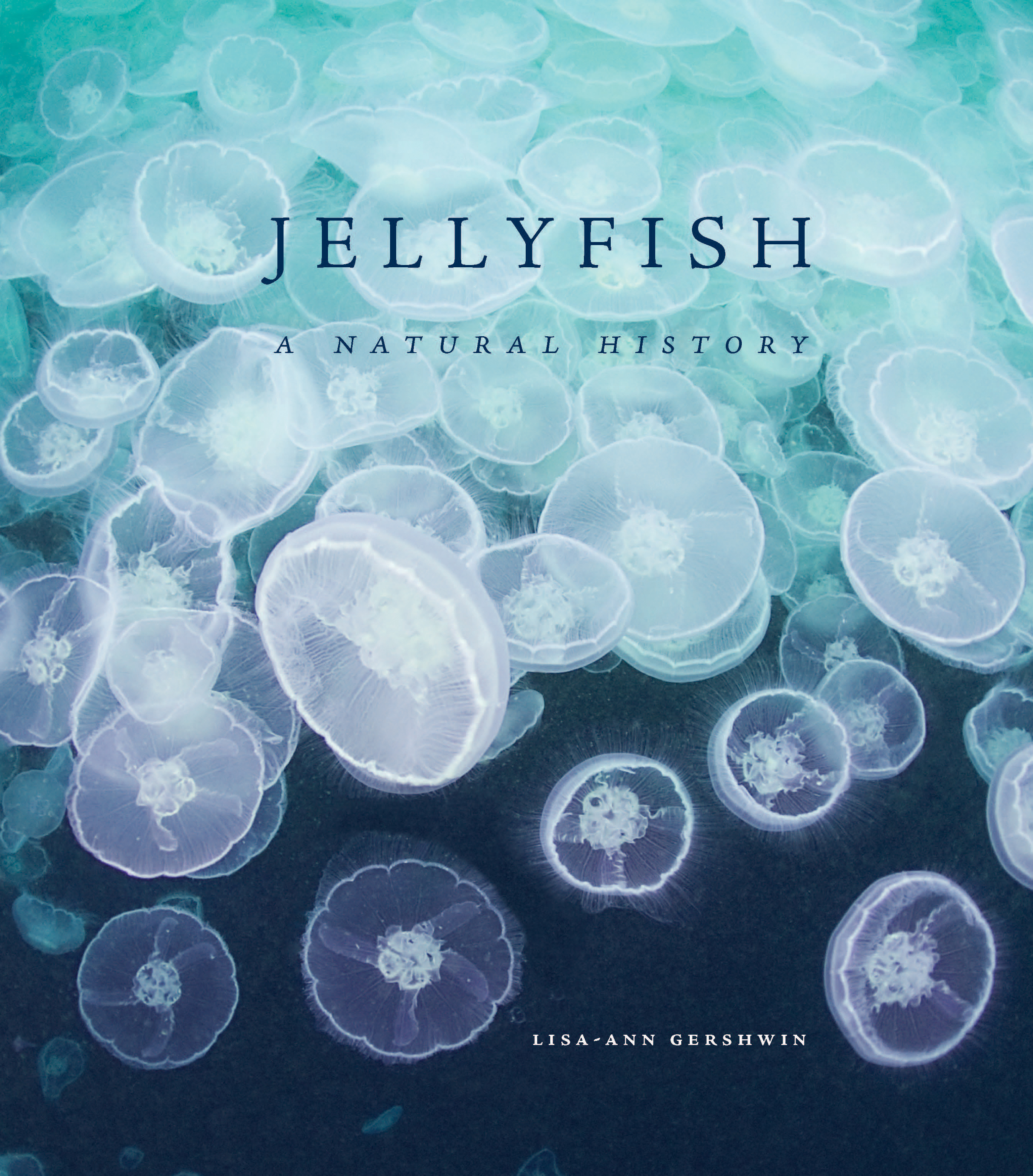 Jellyfish A Natural History Amazon Jellyfish A Natural History Amazon