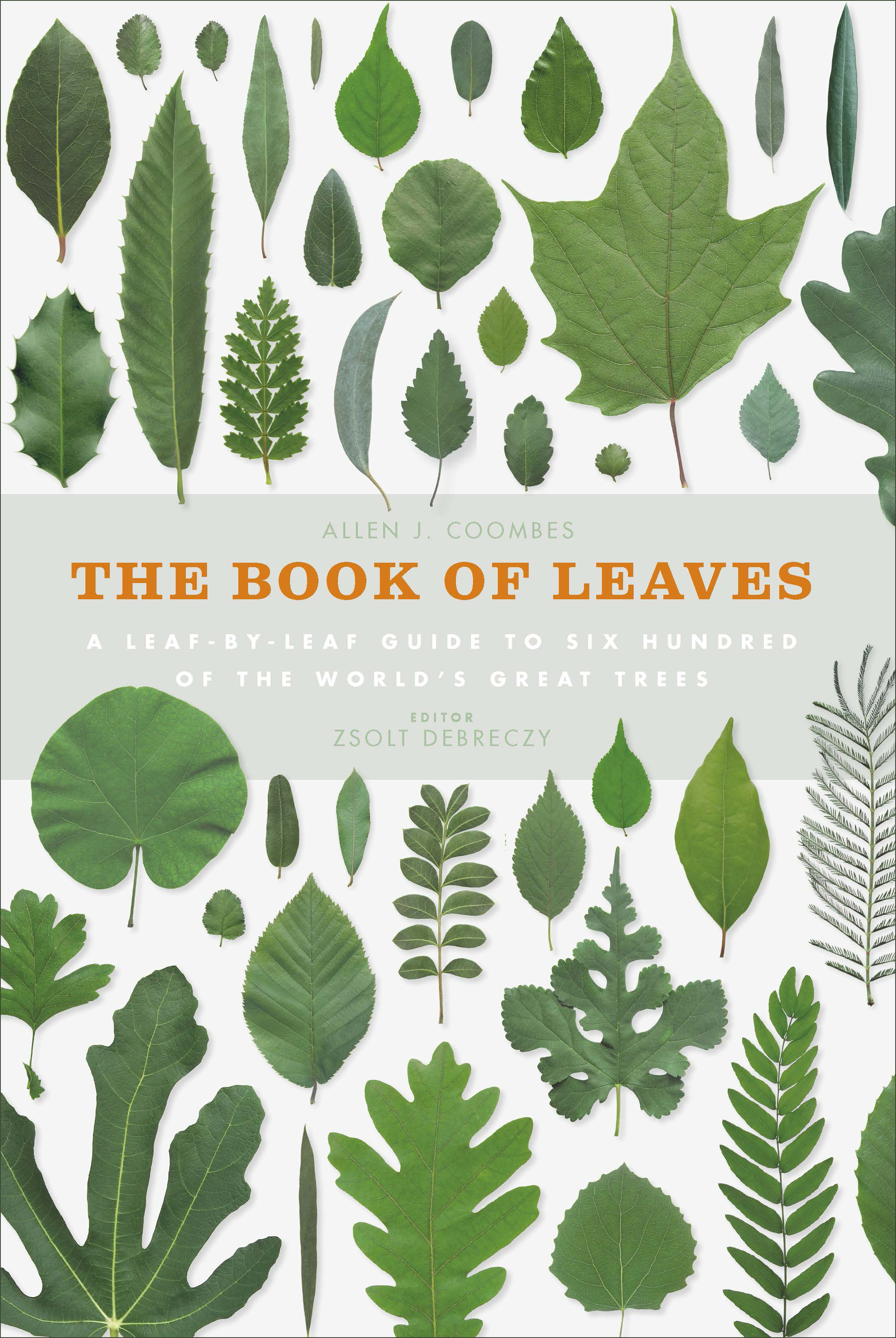 The Book of Leaves Allen J Coombes and Zsolt Debreczy 9781782403302