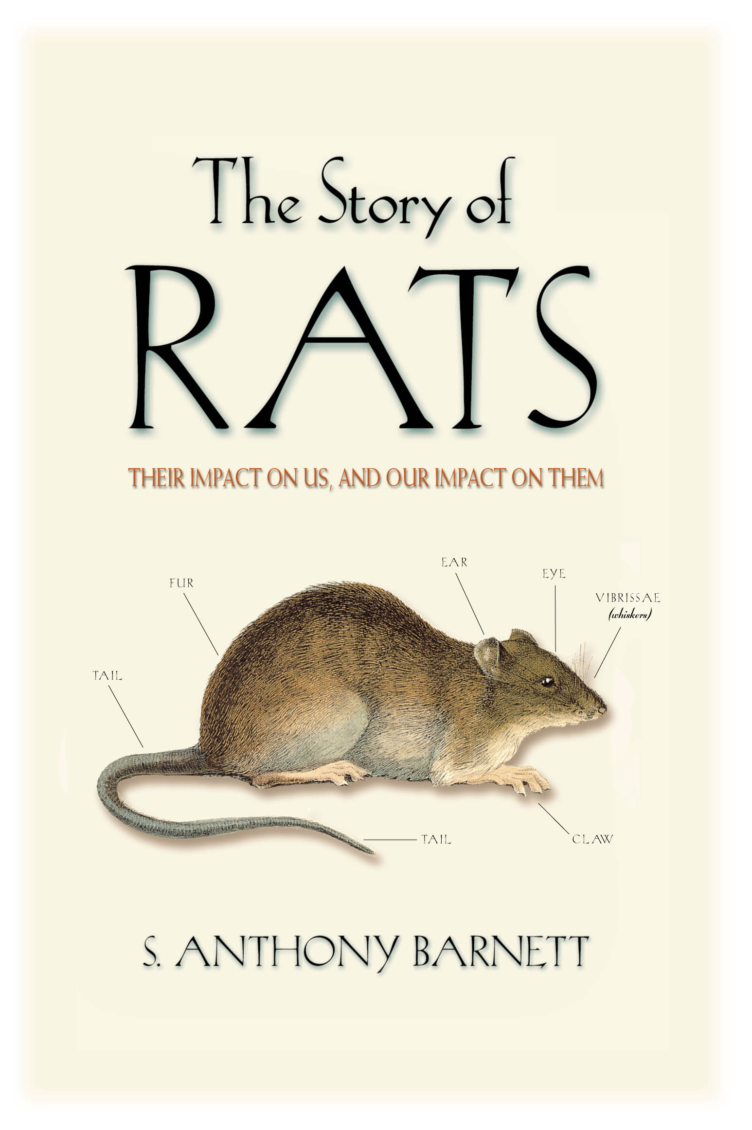 The Story of Rats S. Anthony 9781865085197 Allen & Unwin